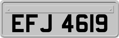 EFJ4619