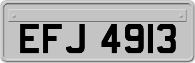 EFJ4913