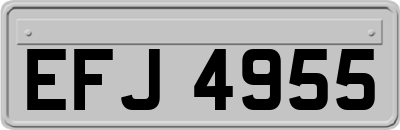 EFJ4955