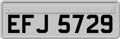 EFJ5729