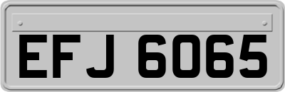 EFJ6065