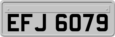 EFJ6079