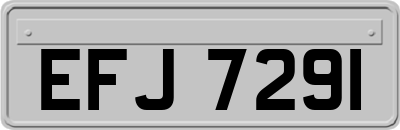 EFJ7291