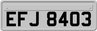 EFJ8403