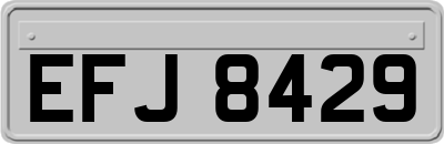EFJ8429