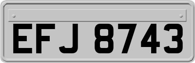 EFJ8743