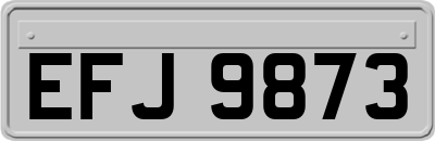 EFJ9873