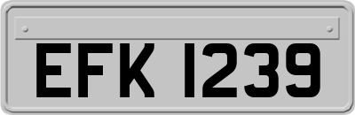 EFK1239