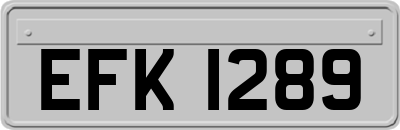 EFK1289