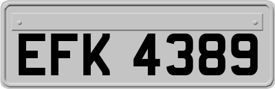 EFK4389