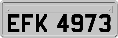 EFK4973