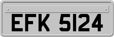 EFK5124