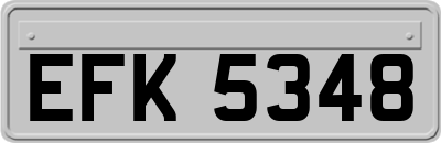 EFK5348