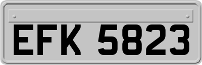 EFK5823