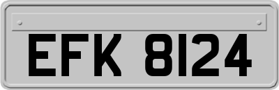 EFK8124