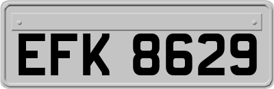 EFK8629