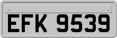 EFK9539