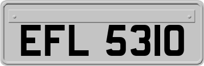 EFL5310