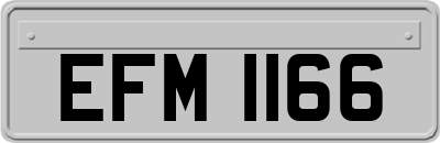 EFM1166
