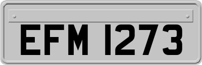 EFM1273