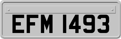 EFM1493