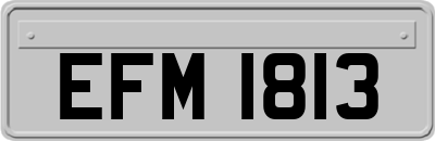 EFM1813