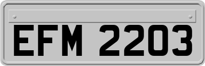 EFM2203