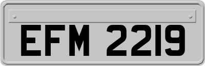 EFM2219