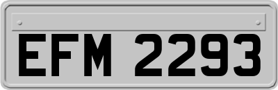EFM2293