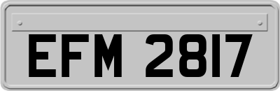 EFM2817