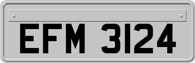 EFM3124