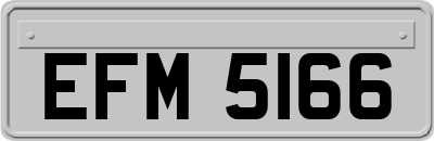 EFM5166