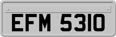 EFM5310