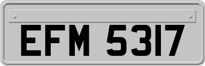 EFM5317