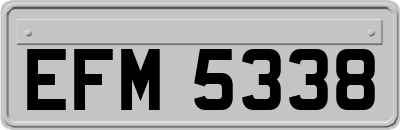 EFM5338