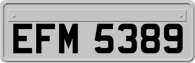 EFM5389