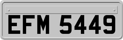 EFM5449