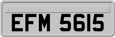 EFM5615