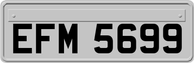 EFM5699