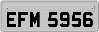 EFM5956