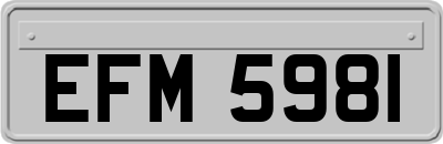 EFM5981