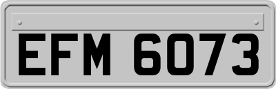 EFM6073