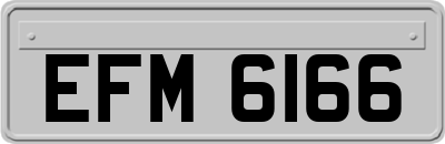 EFM6166