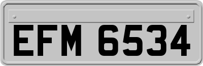 EFM6534