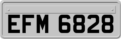 EFM6828