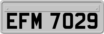 EFM7029