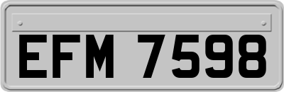 EFM7598