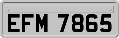 EFM7865