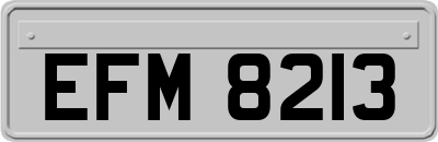EFM8213