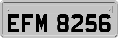 EFM8256